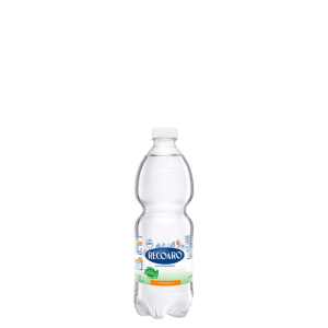 Acqua Recoaro Naturale 24x 0.50 cl. PET