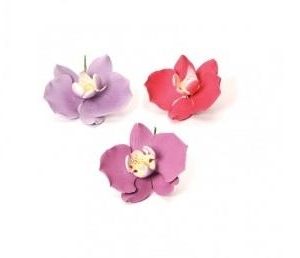 ORCHIDEA PHALENOPSI GLICINE/FUCSIA/VIOLET