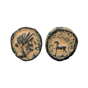 Impero Seleucide – Seleuco II (246-225 a. C.) – Æ17 (Molto Rara)