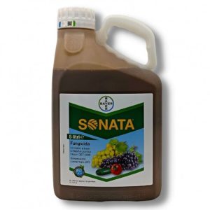 Sonata Bayer 5L – Fungicida biologico a base di Bacillus pumilus QST 2808 per il controllo dell’oidio di vite, fragola e orticole