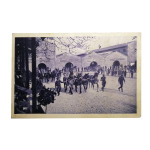 Fiera – Esposizione di Milano – Concorso cavalli da tiro pesante