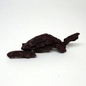 Coprolite Di Tartaruga