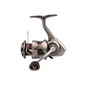 Exceler LT 2023