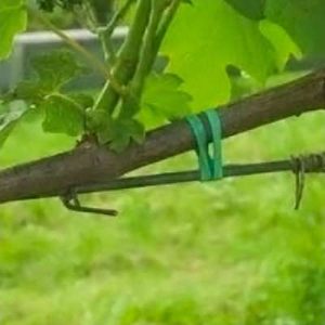 Legaccio Ø 5-6 tagliato  50-60 cm. (Kg. 1,4)
