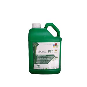 VEGETAL-B-60-DA-LT-6