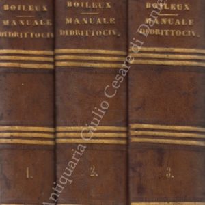 Manuale di diritto civile ossia comentario sul codice civile