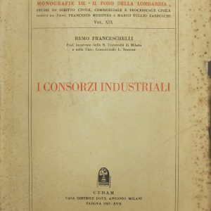 I consorzi industriali