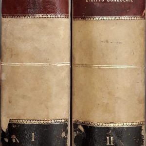 Trattato teorico-pratico di diritto consolare e diplomatico